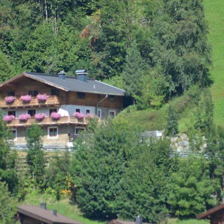 Ferienhaus Rieder Wald im Pinzgau Bagian luar foto